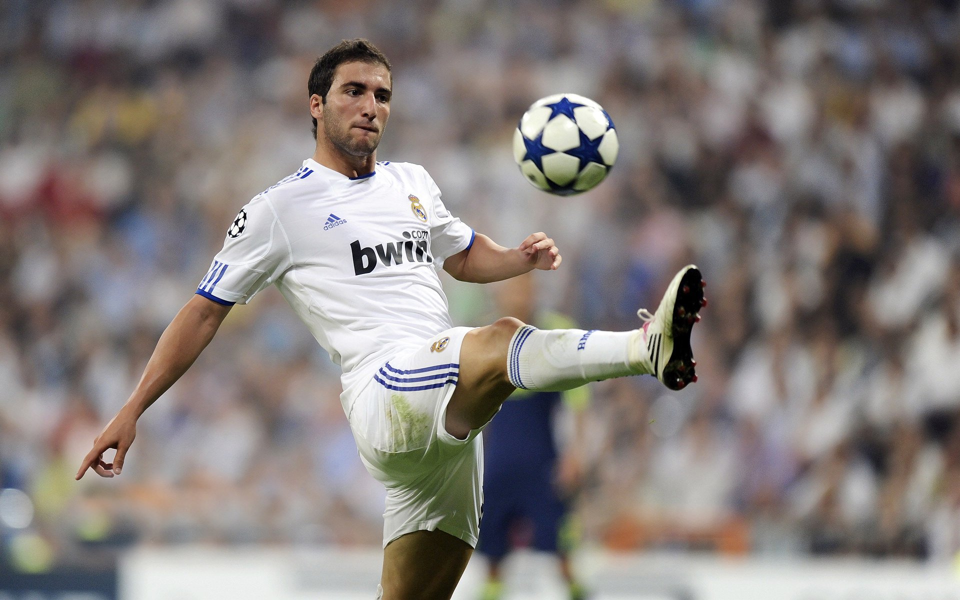 世界杯期间的运动员营养管理，世界杯球员要求